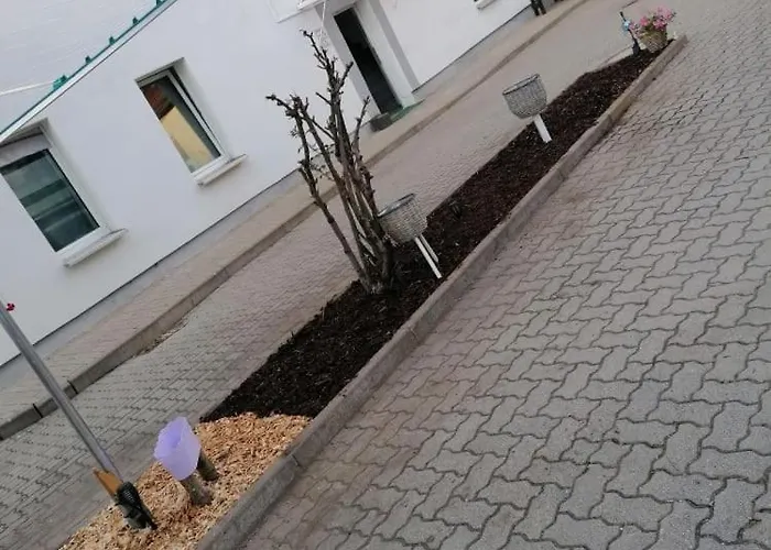 Seetime M メルゼブルク